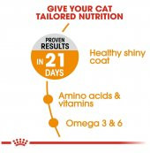 Royal Canin Hair Skin Hassas Tüy Sağlığı Kedi Maması 4 Kg - 3