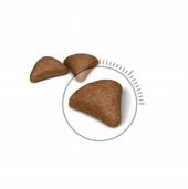 Royal Canin Hairball Uzun Tüylü Yetişkin Kuru Kedi Maması 2 Kg - 3