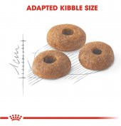 Royal Canin Fit 32 Yetişkin Kuru Kedi Maması 4 Kg - 4