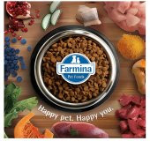 N&D Low Kuzu&Yaban Mersin Orta Büyük Irk Yavru Köpek Maması 12 Kg - 3