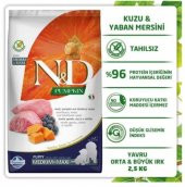 N&D Pumpkin Kuzu&Yaban Mersini Orta Büyük Irk Yavru Köpek 2,5 Kg thumbnail 3