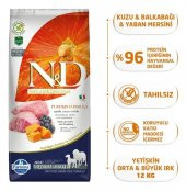 N&D Pumpkin Kuzu&Yaban Mersini Orta Büyük Irk Köpek Maması 12 Kg - 2