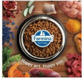 N&D Pumpkin Kuzu Yaban Mersini Kısırlaştırılmış Kedi Maması 1,5 Kg - 3