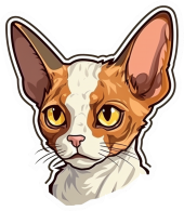 Sticker Devon Rex Cat Kedi Motorsiklet, Kask,Laptop Ve Araç Sticker Etiket 13x15 Cm - 1