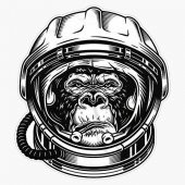 Sticker Master Uzay Maymun Oto Motor Etiket Çıkartma 15 Cm - 1