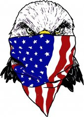 Sticker Master 2 Adet Komik Amerikan Eagle Çıkartmaları Motosiklet Dizüstü Kaykay Bisiklet - 1