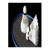 Okare Badminton Filesi 3 M X 75 Cm - 1mm Ip Kalınlığı - 2x2 Göz AralığıFlm86 - 1
