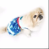 TEDDY BLUE KÖPEK ELBİSESİ  by Kemique  Köpek Kıyafeti - 3