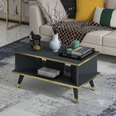 MOBİLYA GEZEGENİ Galipol Orta Sehpa 80 cm Antrasit-Altın thumbnail 1