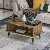 MOBİLYA GEZEGENİ Galipol Orta Sehpa 80 Cm Çırağan - Altın Renk thumbnail 3