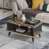 MOBİLYA GEZEGENİ Galipol Orta Sehpa 80 Cm Çırağan - Antrasit - Gümüş - 3