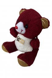 Emach Dizayn Peluş Ayı 35 CM Uyku Arkadaşım - 2