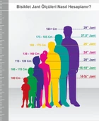 Sarissa Angels 20 Jant Full Aksesuarlı  5-9 yaş  Kız Çocuk Bisikleti Pembe thumbnail 5