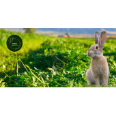 POLY Kemirgen DOĞAL KURU YONCA KEMİRGEN OTU-TAVŞAN-GİNEPİG-HAMSTER 4000 Gr - 1