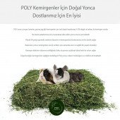 POLY Kemirgen DOĞAL KURU YONCA KEMİRGEN OTU-TAVŞAN-GİNEPİG-HAMSTER 4000 Gr - 3