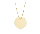 Plaka Altın Kolye - 1