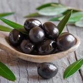 Akhisar Uslu Zeytin Fidanı, Sofralık Siyah ve Yağlık - 1