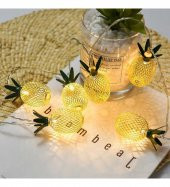 10 Lu Ananas Mini Pilli Led Lamba Led1612-9 - 1