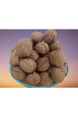 Ceviz 12221 Ince Kabuk Kolay Kırılır Chandler Kendi bahçemizden Doğal Üretim 3Kg - 1