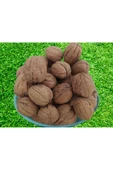 Ceviz 12220 Ince Kabuk Kolay Kırılır Chandler Doğal Üretim 2Kg Kendi bahçemizden - 3