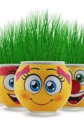 Çim Adam 10 Adet Li Lisanslı - 5