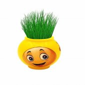 Emoji Çim Adam  5 Adet - 1