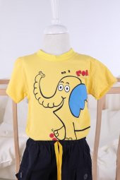 Yazlık Erkek Şort Tshirt Takım 02041 - 3