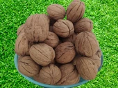 Ceviz 17332 Bahçemizded  Ince Kabuk Kolayca Kırılır Chandler Doğal Üretim 2 Kg - 1