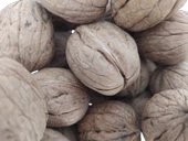 Ceviz 17332 Bahçemizded  Ince Kabuk Kolayca Kırılır Chandler Doğal Üretim 2 Kg - 4