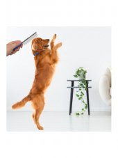 Kedi Köpek Kıtık Tüy Açıcı Metal Tarak thumbnail 2