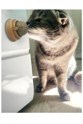 Doğal Yenilebilir Kedi Nanesi Otu Oyun Topu Oyuncağı Cat Mint Top Oyuncak Catnipli - 2