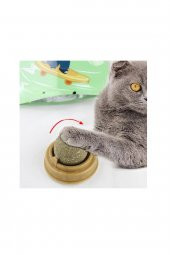 Doğal Yenilebilir Kedi Nanesi Otu Oyun Topu Oyuncağı Cat Mint Top Oyuncak Catnipli - 4