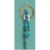Tavuskuşu Rüya Kapanı Dream Catcher - 1