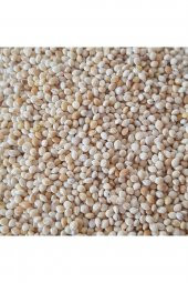 ASTARIM Akdarı Muhabbet Kuş Yemi 5 Kg - 1