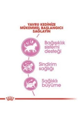 Kitten Kedi Kuru Maması 2 Kg - 2