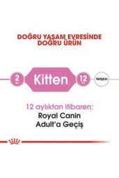 Kitten Kedi Kuru Maması 2 Kg - 3