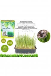 Gardenmix Garden Mix Kedi Çimi 13 - 18 Cm - 2