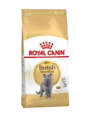 Royal Canin British Shorthair 2 Kg Yetişkin Kuru Kedi Maması - 1