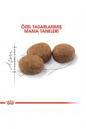 Royal Canin Sterilised 37 Kısırlaştırılmış Yetişkin Kedi Maması 15 Kg - 3