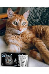 Viyo Imune Kedi Prebiotik Ek Besini 5x30ml 5adet - 3