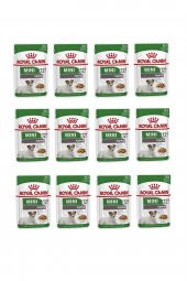 Royal Canin Mini Ageing + 12 Köpek Yaş Mama 85 Gr. X 12 Adet - 1