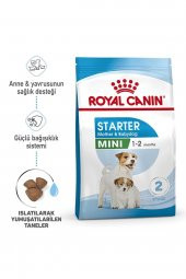 Royal Canin Mini Starter Anne Ve Yavru Köpek Maması 4 Kg - 1