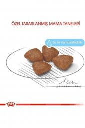 Royal Canin Mini Starter Mother _ Babydog Küçük Irk Yavru Köpek Maması 4 Kg - 2