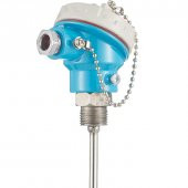 Kafalı Tip J (Fe-Const) Termokupl 6x100mm - 1