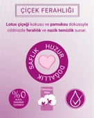 Paddlers Lotus Çiçeği Kokulu Islak Mendil 12x72 li Koli (864 Yaprak) - 2