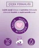 Paddlers Leylak Kokulu 72'li Islak Mendil - 2