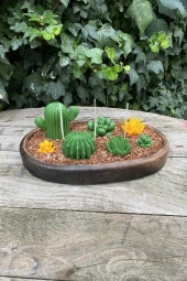 Saguaro Kaktüs Mum Kalıbı ( Silikon ) 1 Adet thumbnail 3