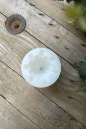 Köknar Çam Ağacı Mum Kalıbı (Silikon) (1 Adet) thumbnail 6