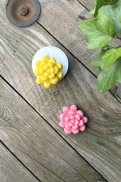 Obtusa Sukulent Mum Kalıbı (Silikon) (1 Adet) thumbnail 8