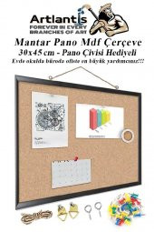 Mantar Pano Mdf Çerçeve 30x45 cm 1 Adet Harita Çivisi Hediyeli Duvara Monte Mantar Çerçeve Evde Okulda Büroda Ofiste - 1